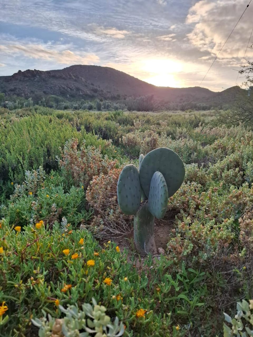 Natural landscape, Sunrise