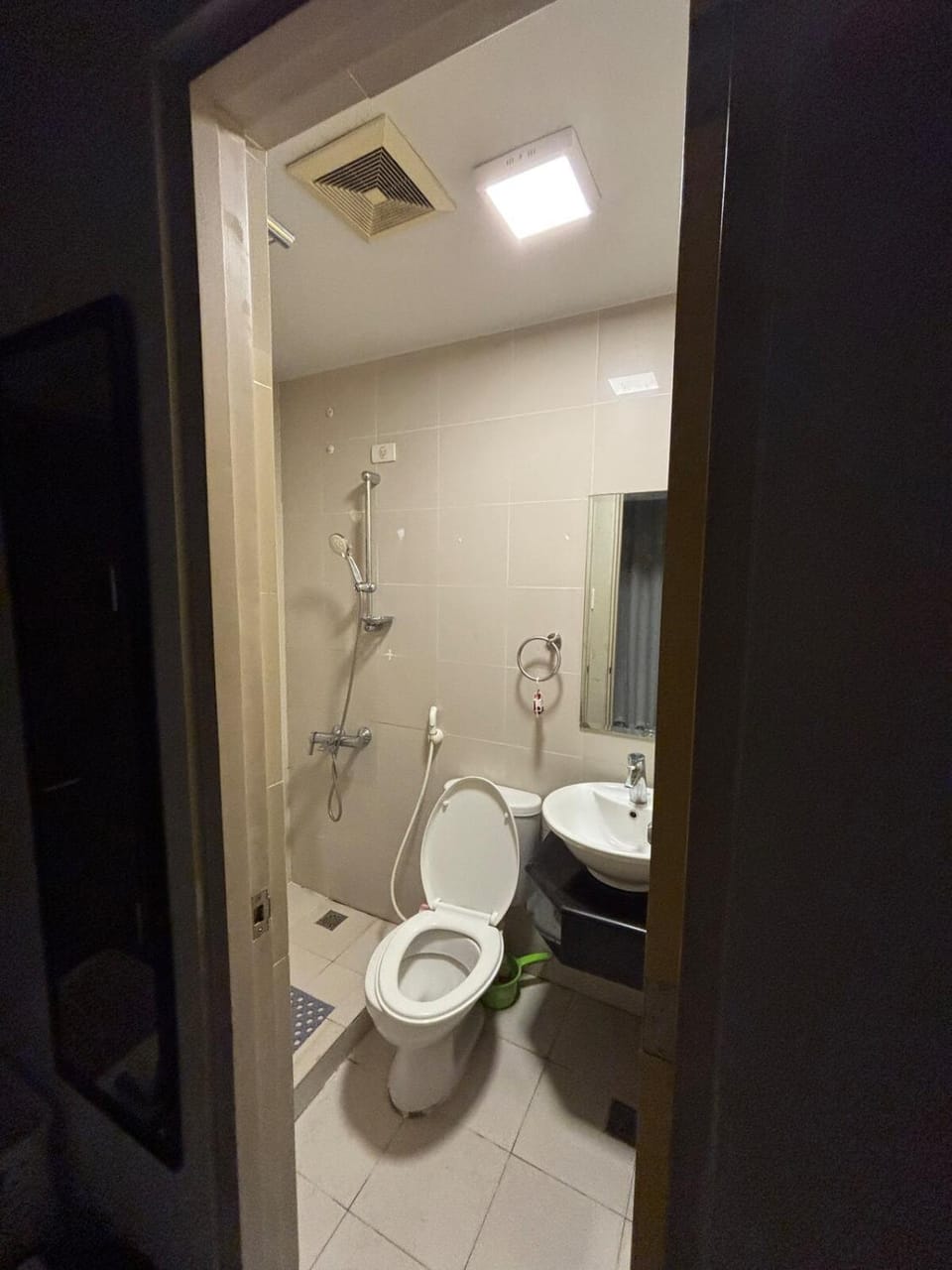 Shower, Toilet, Bathroom, bidet