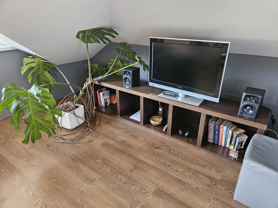 TV and multimedia