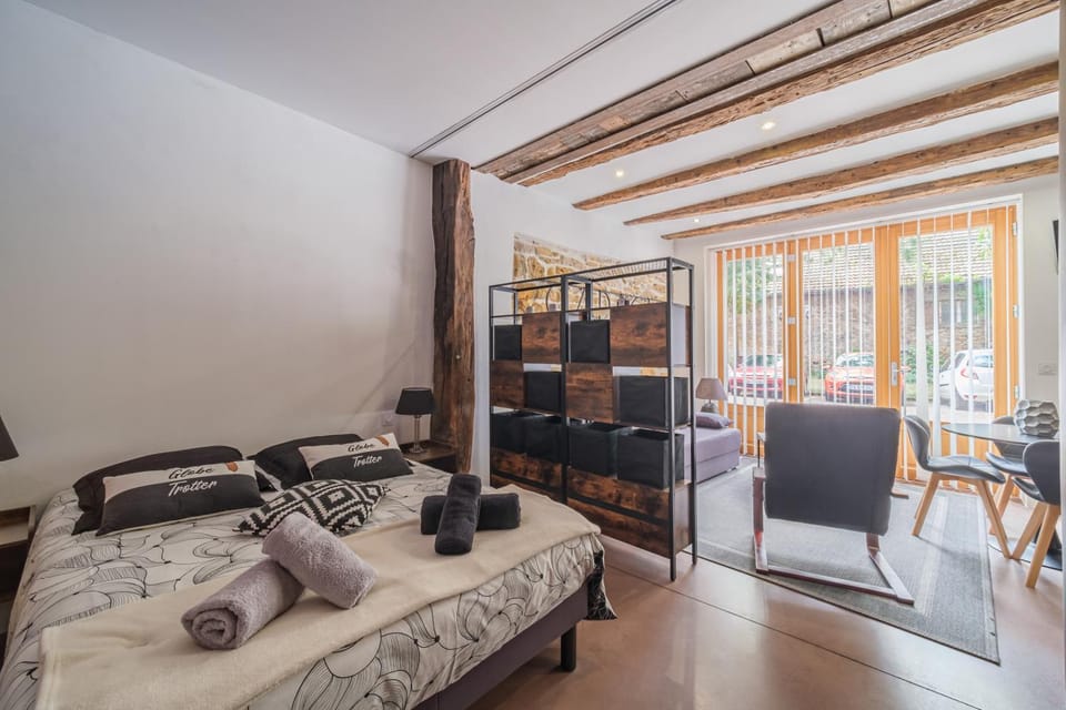 La Semeuse Hurst Apartment in Colmar