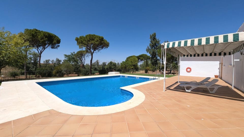 Day, Pool view, Swimming pool, sunbed