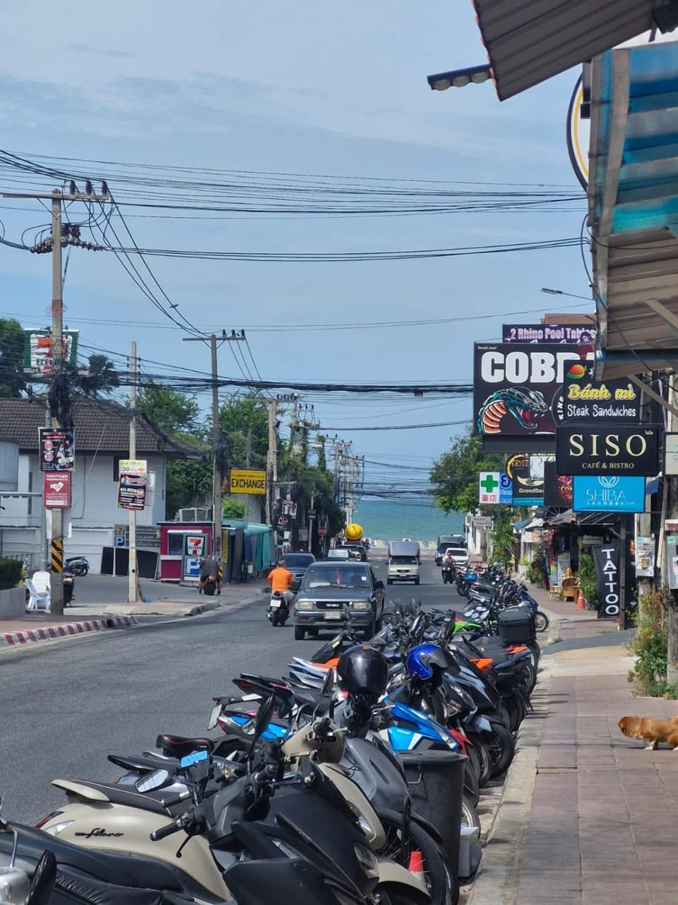 Neighbourhood, Street view, Location, Parking