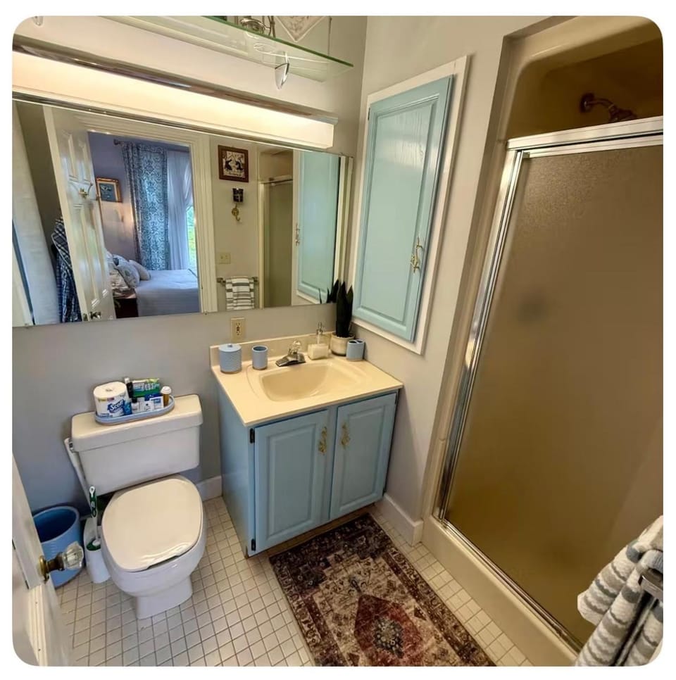 Shower, Toilet, Bathroom, towels