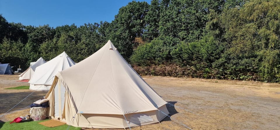 St annes cottage Luxury tent in East Dorset District