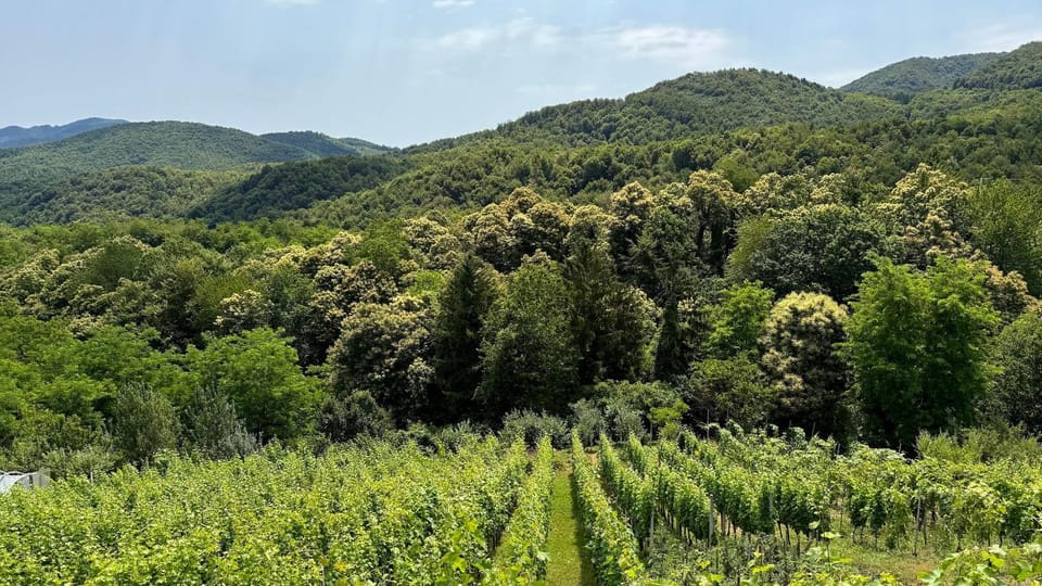 Natural landscape, Mountain view