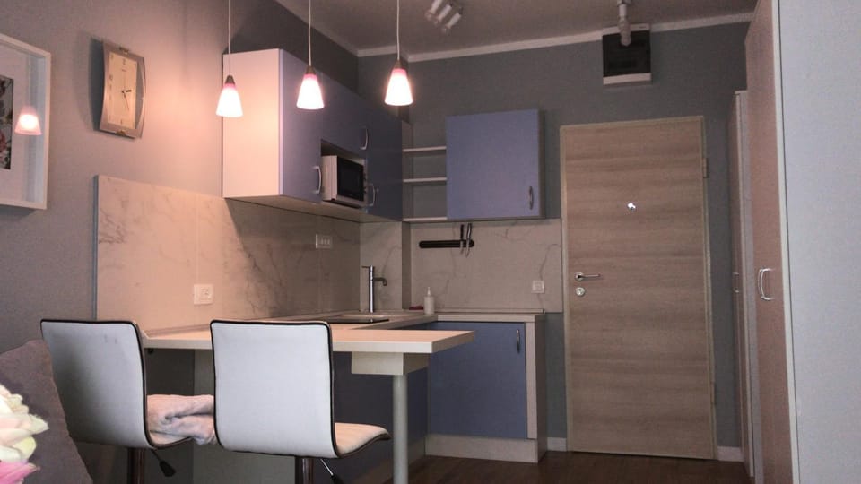 Blue Apartment in Budva Municipality