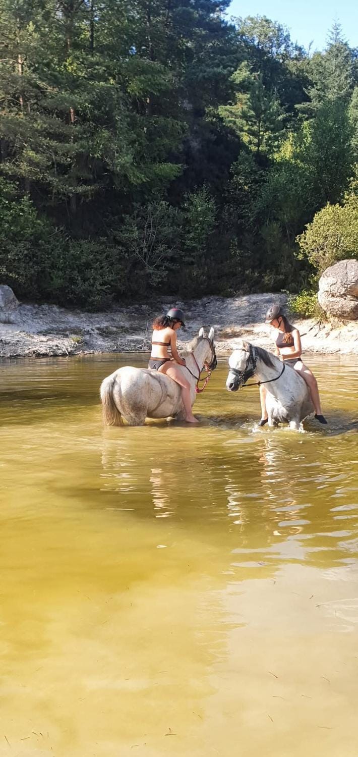 Gîtes El Hourya Country House in Auvergne-Rhône-Alpes