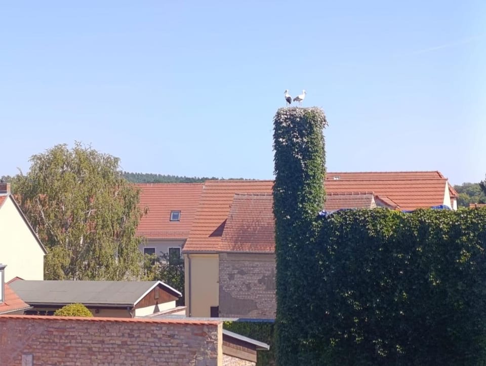Landmark view