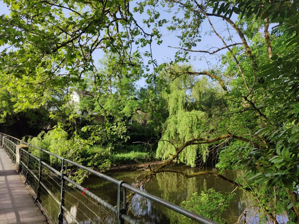 River view