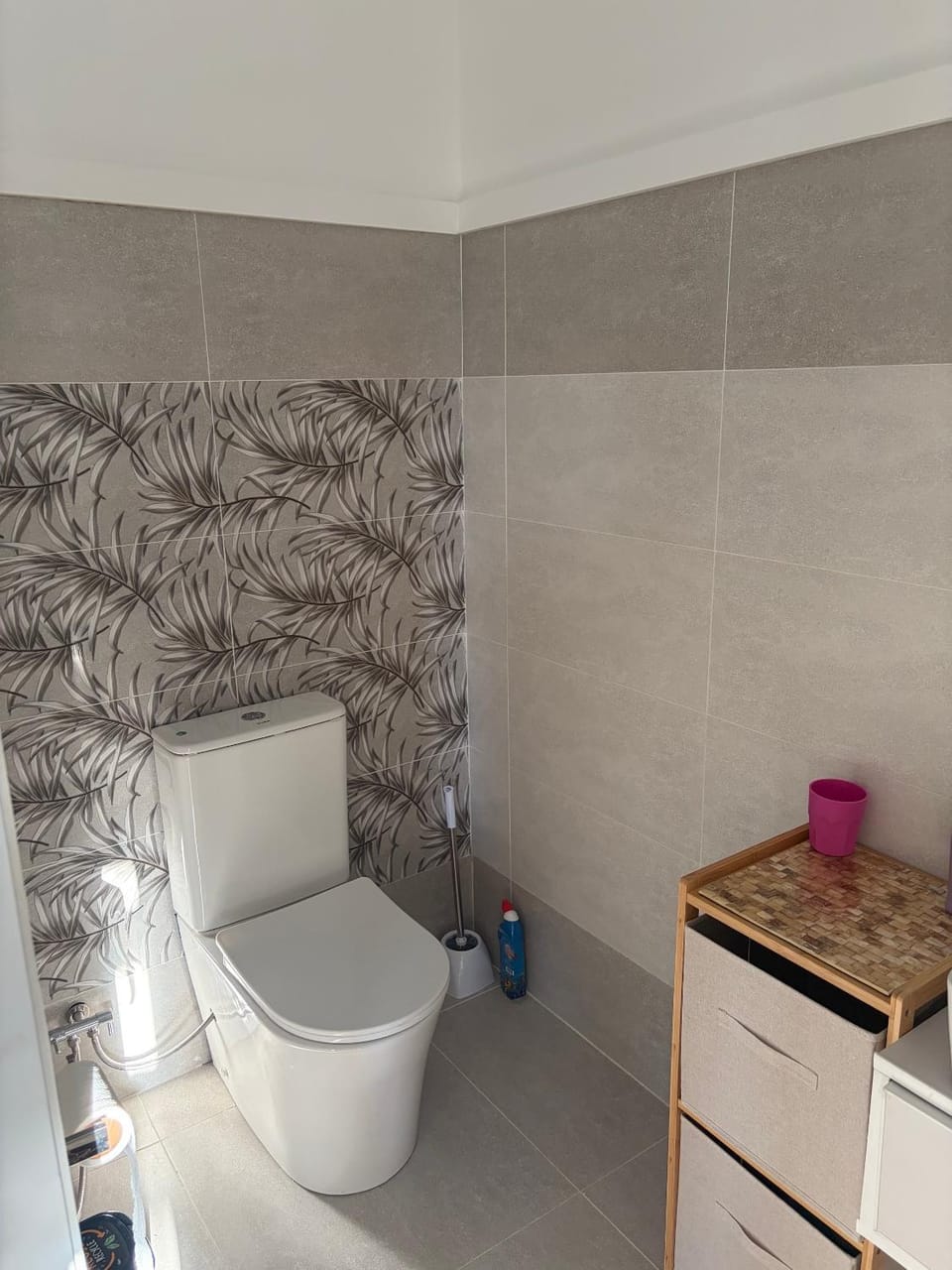 Toilet, Bathroom