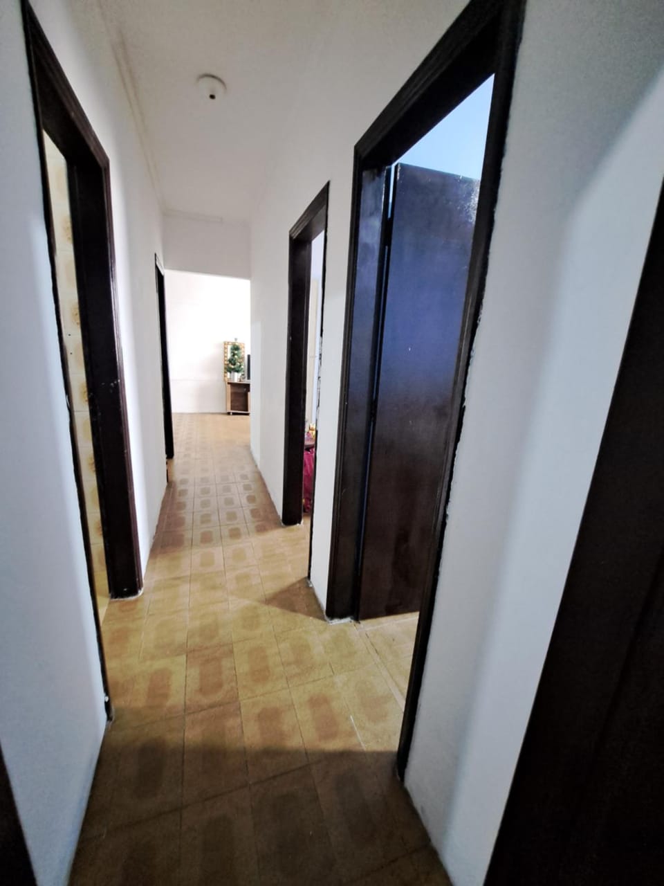 Blue ocian beach hostel House in State of São Paulo