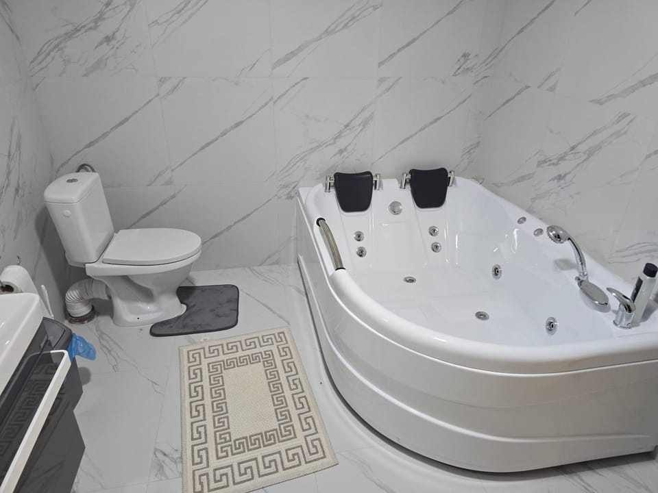 Casa Alex Apartment in Romania