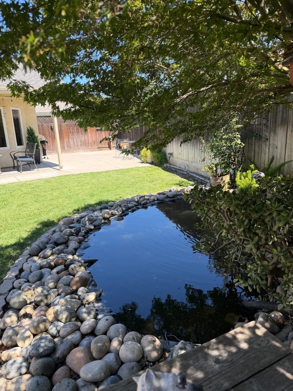 Cozy Pond HouseFire Pit, Pond & Pet-Friendly House in Modesto