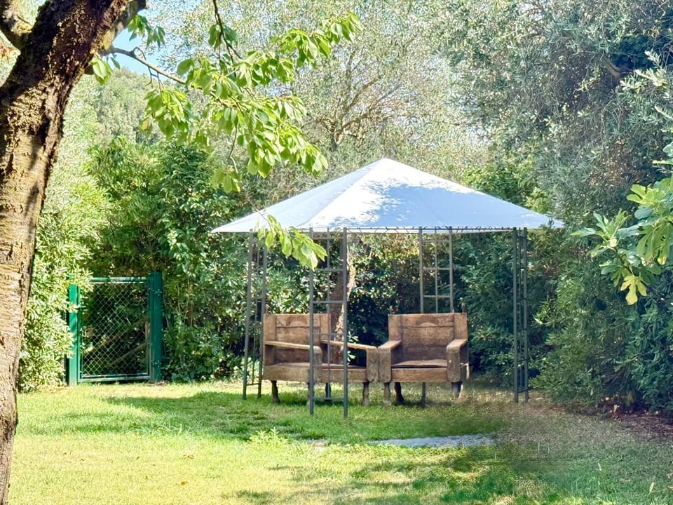 Day, Garden, Garden, Garden view