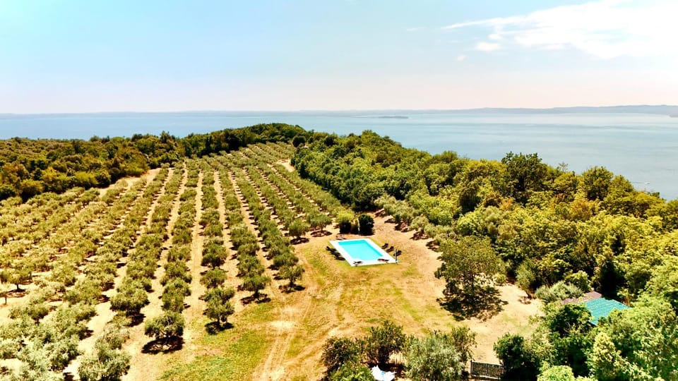 Day, Natural landscape, Bird's eye view, Garden, Pool view, Swimming pool, Swimming pool