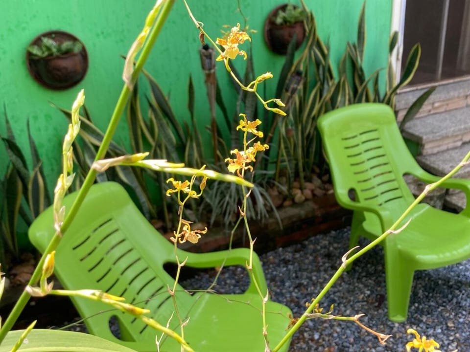 Casa Flores Mily Izabal House in Guatemala