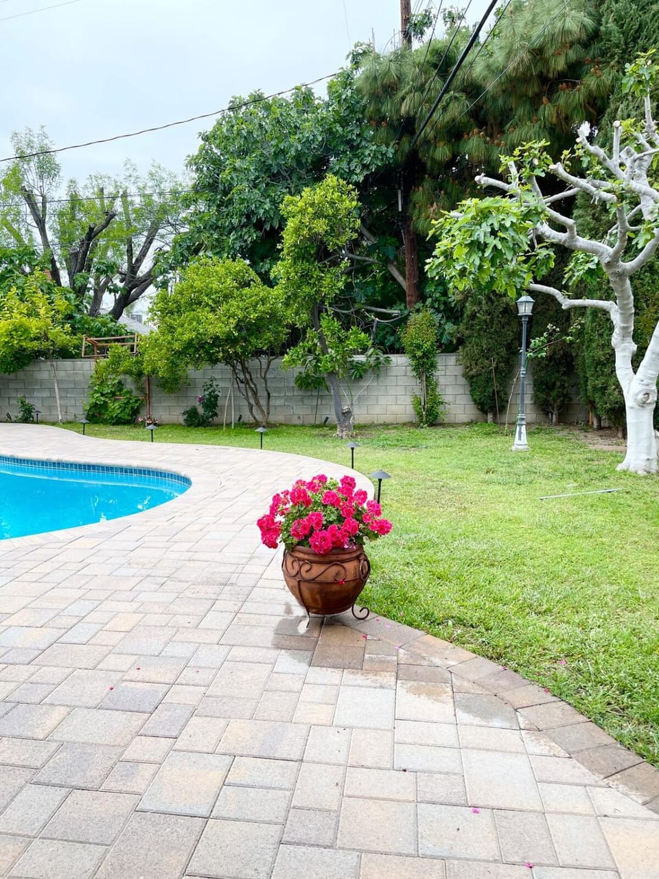 Poolside Casita near Walking Path- Fast WIFI - AC House in Reseda