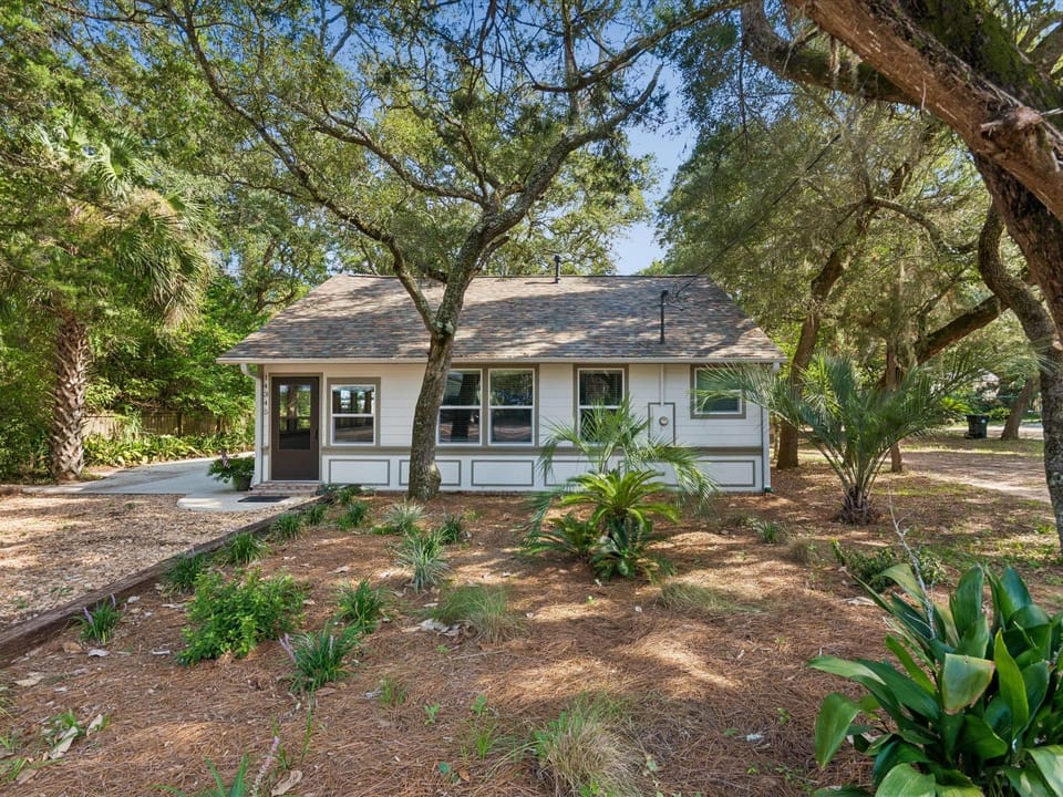 Property building, Natural landscape, Garden