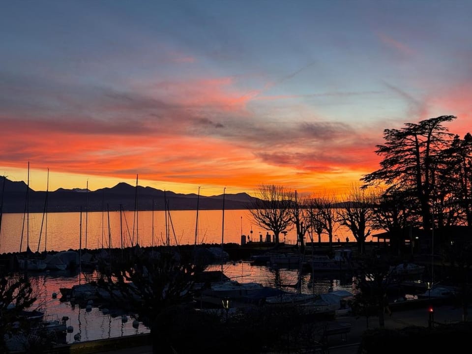 32côtéquai Bed and Breakfast in Lausanne