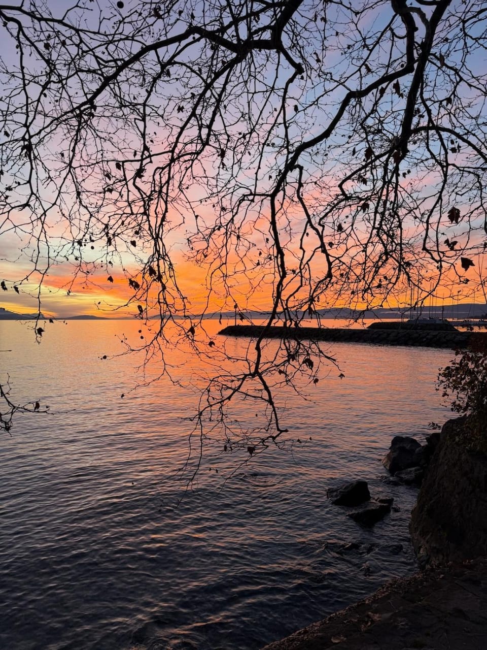32côtéquai Bed and Breakfast in Lausanne