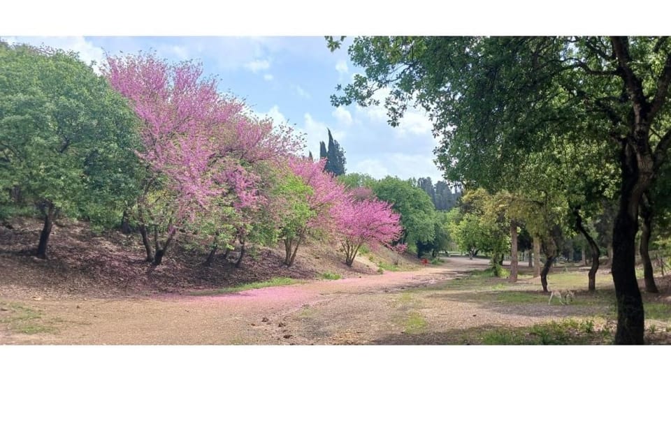 Spring