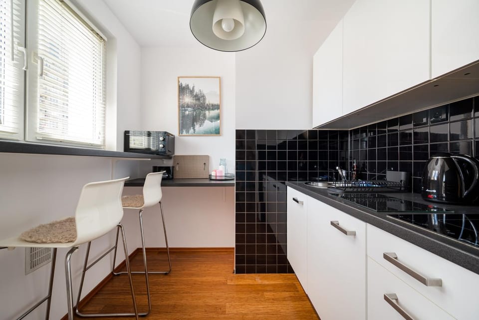 Kitchen or kitchenette, stove, toaster