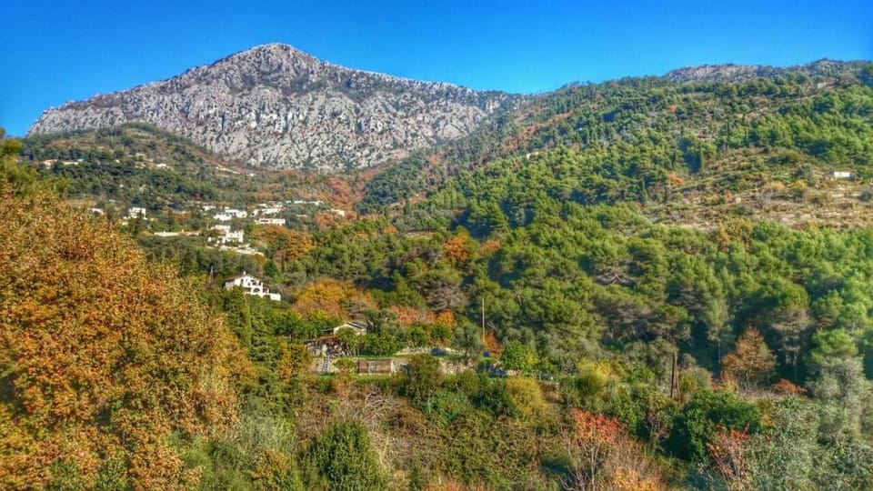 Mountain view