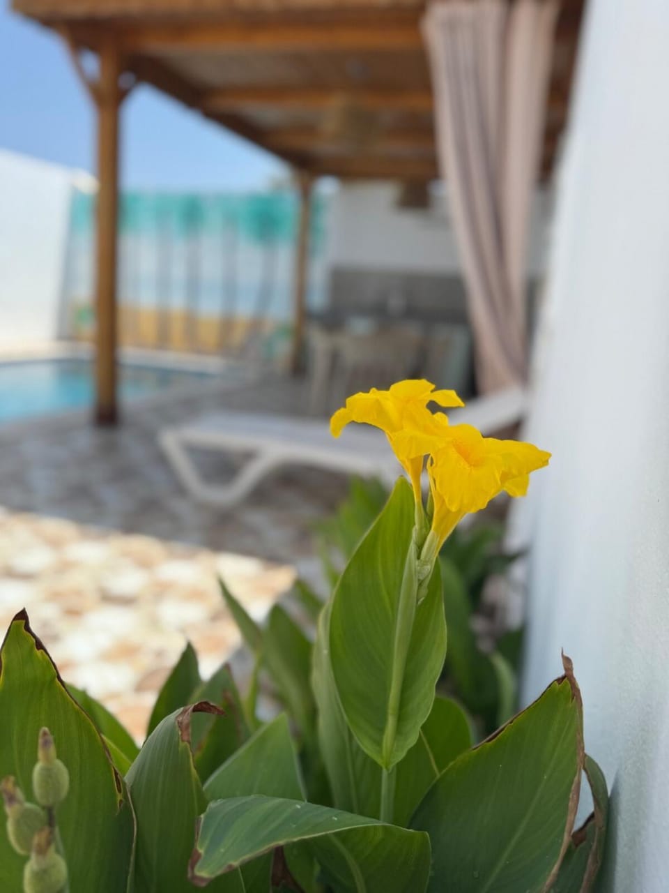Villa in Midoun, Dar Hayet House in Tunisia