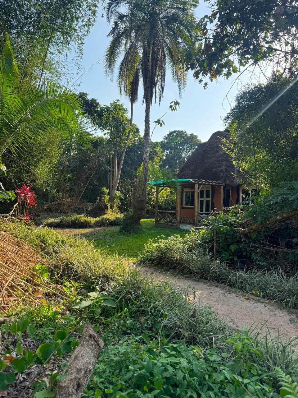 Natural landscape, Garden, Garden view