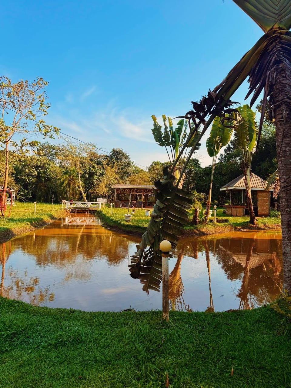 Natural landscape, Garden, Lake view, River view