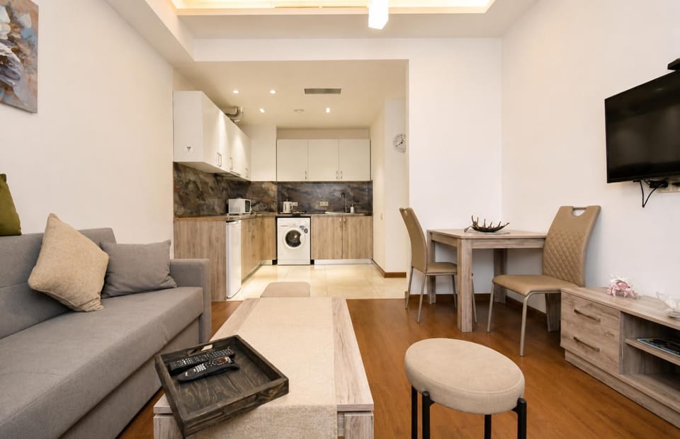 Ararat View Apartment near Republic Square Apartment in Yerevan