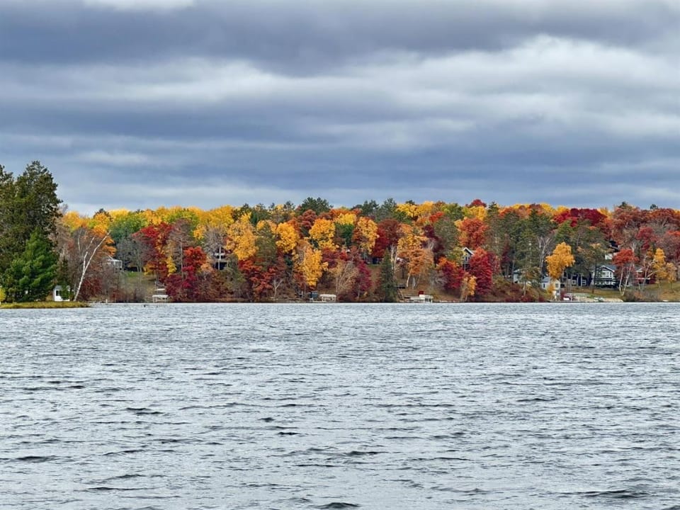 Lake view