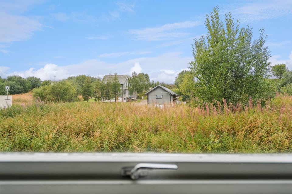 Spring, Day, Natural landscape, Garden, Garden view