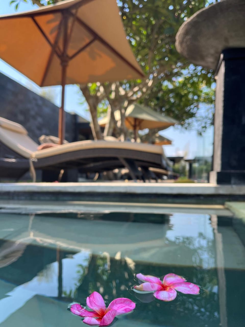 Pool view, Swimming pool, sunbed