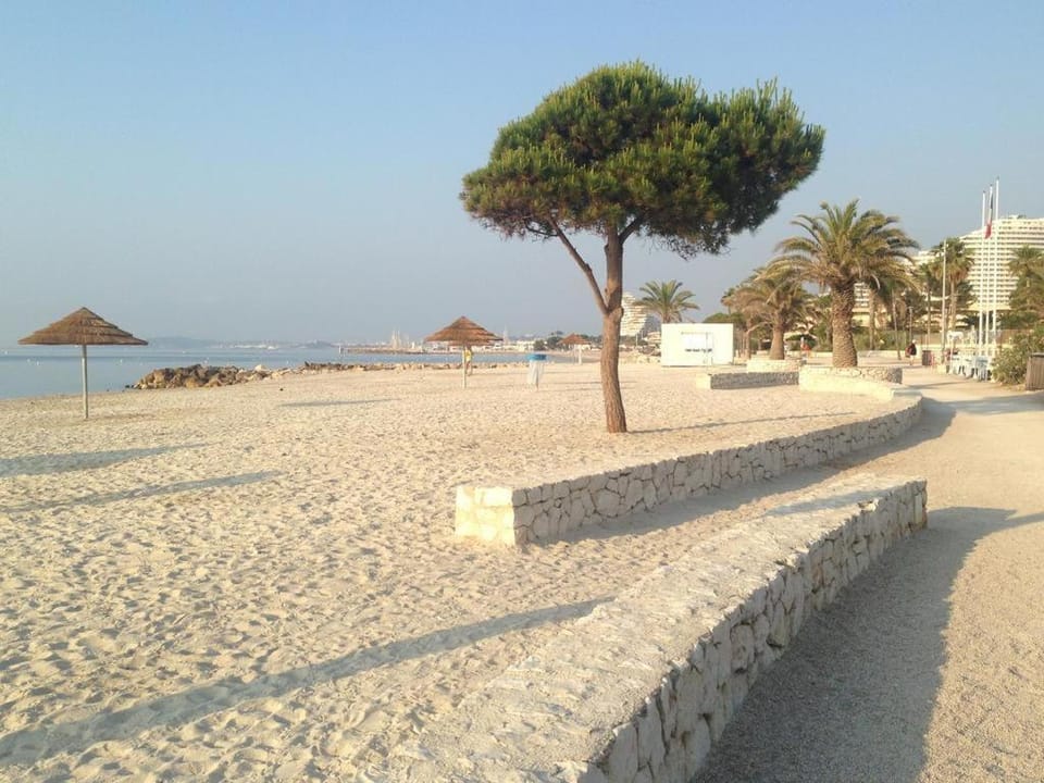 Studio Calme Absolu - Cosy Studio Apartment in Roquefort-les-Pins
