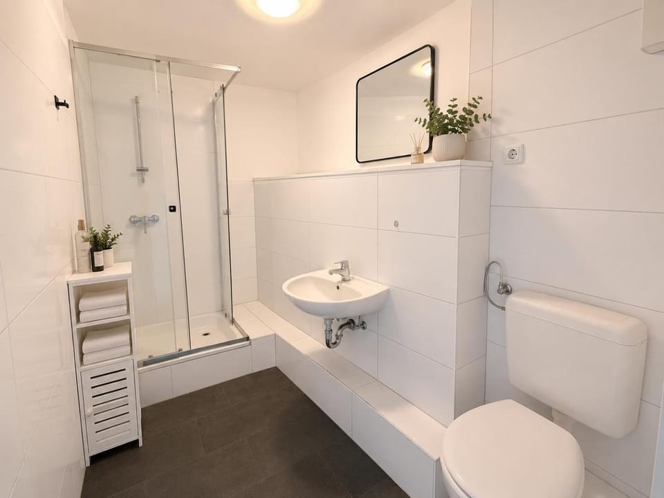 Shower, Toilet, Bathroom, towels
