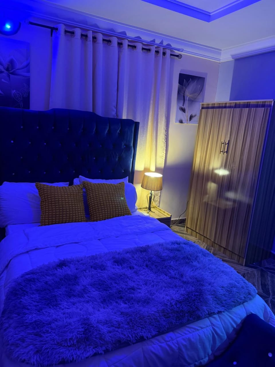 Bed, Photo of the whole room, Bedroom