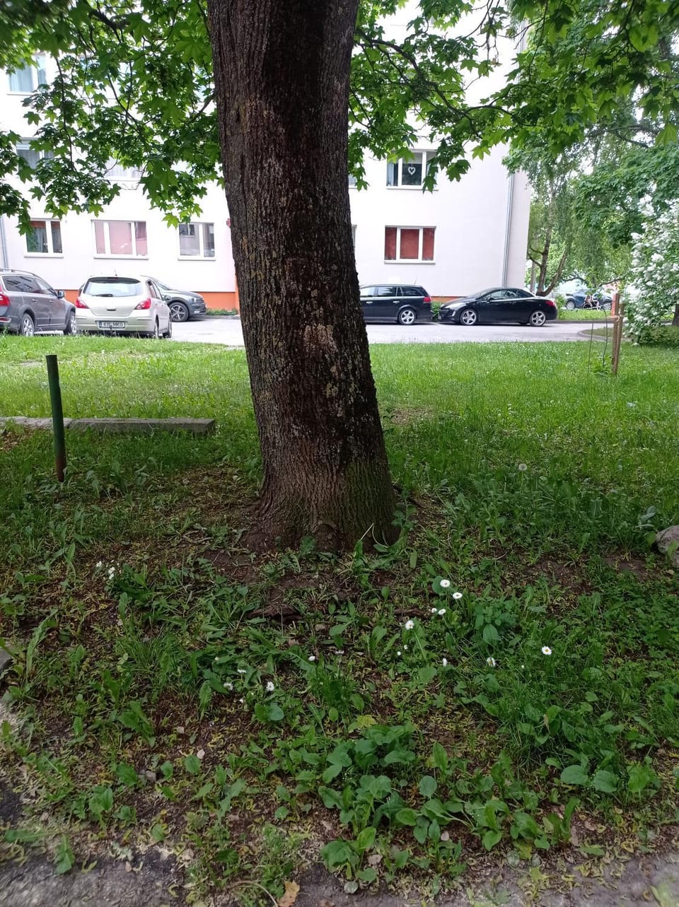 Sleep Well Apartment in Tallinn