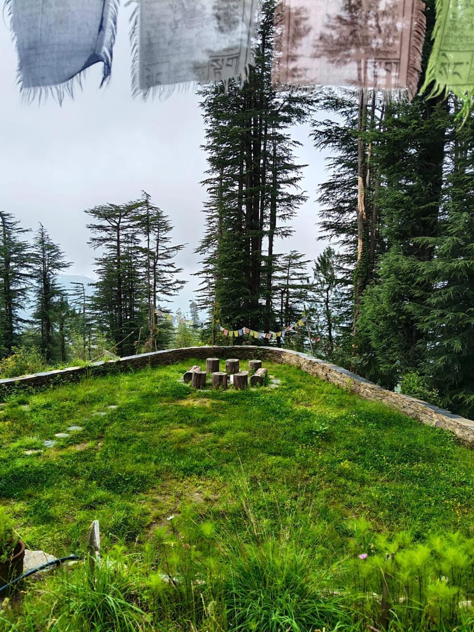 Natural landscape, Garden, Garden view, Mountain view