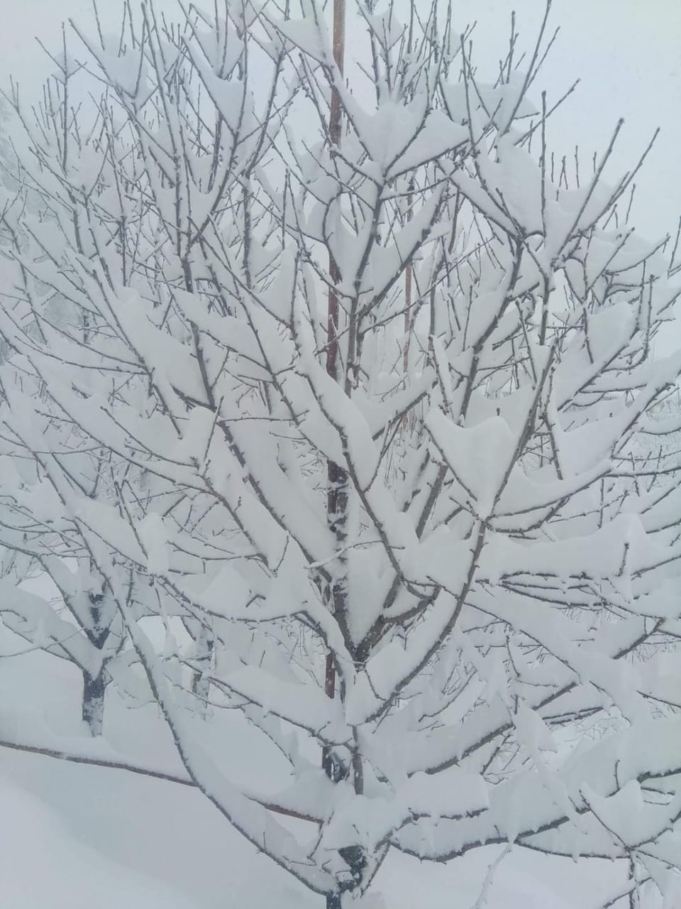 Natural landscape, Winter