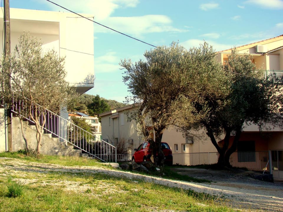 Property building, Day, Garden