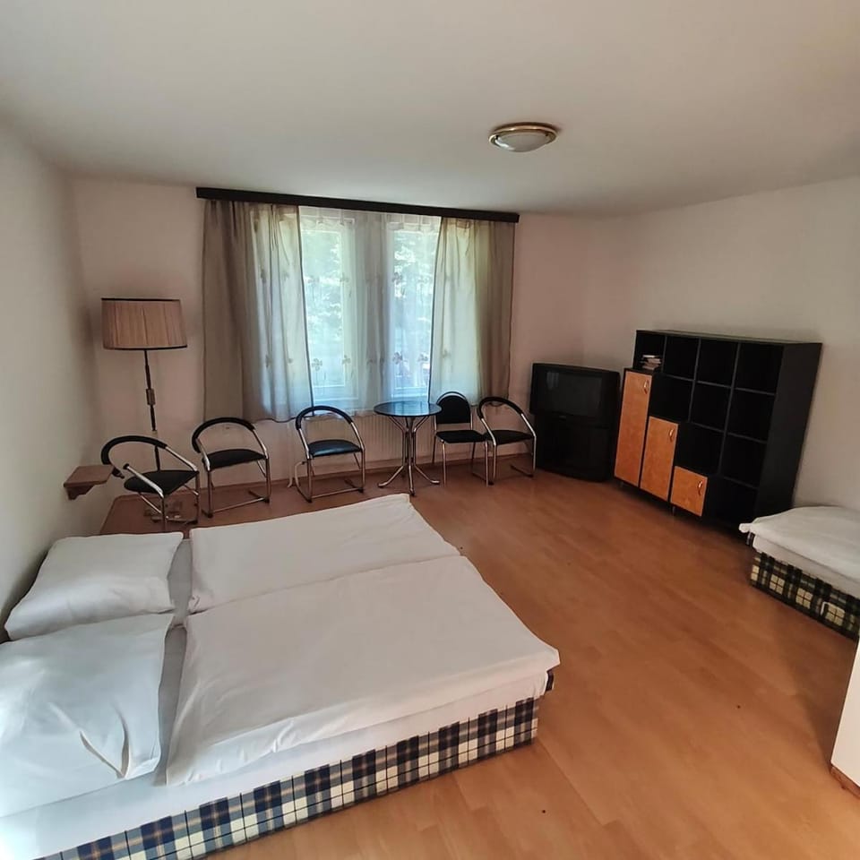 Private chat in a private room with privacy Hotel in Slovakia