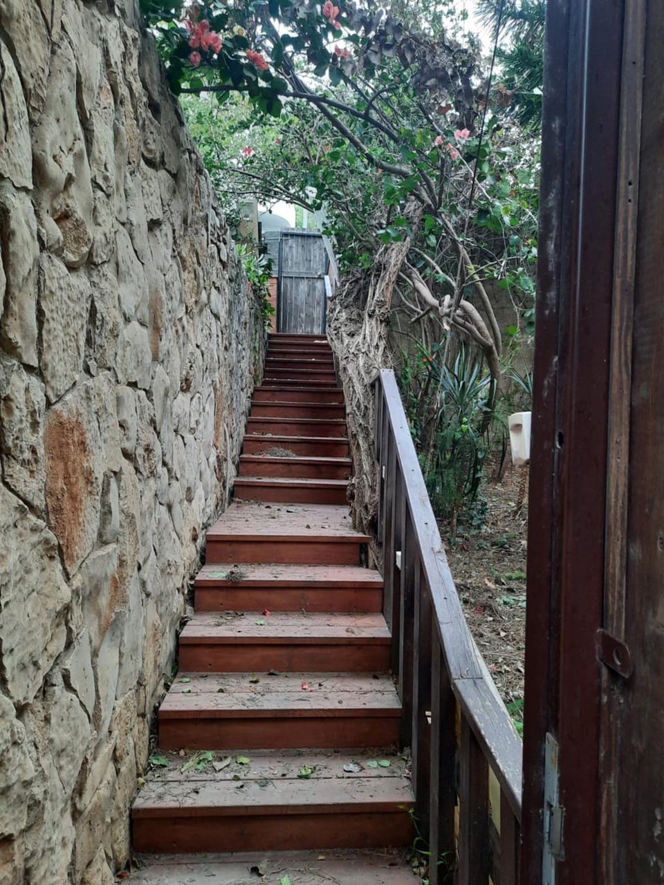 Zimmerom Bed and Breakfast in Haifa