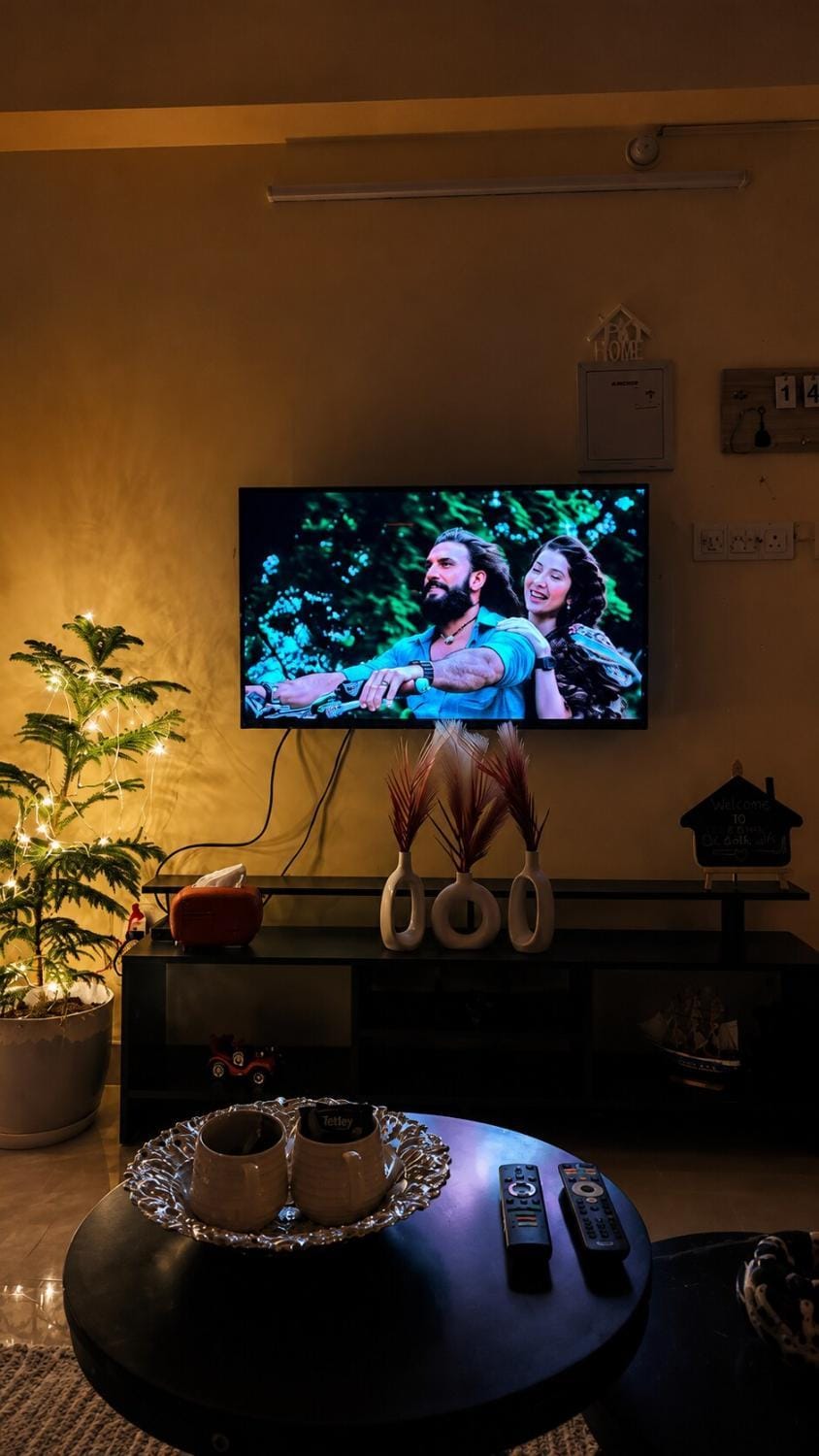 TV and multimedia