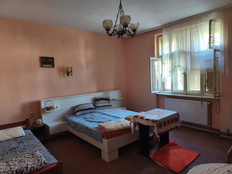Hostel Bojana Hostel in Vojvodina