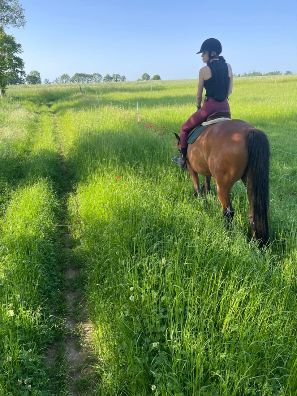 Day, People, Horse-riding, group of guests