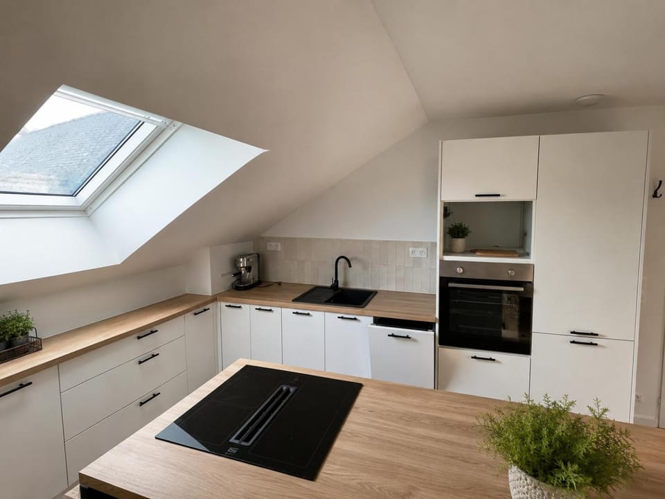 dishwasher, oven, stove