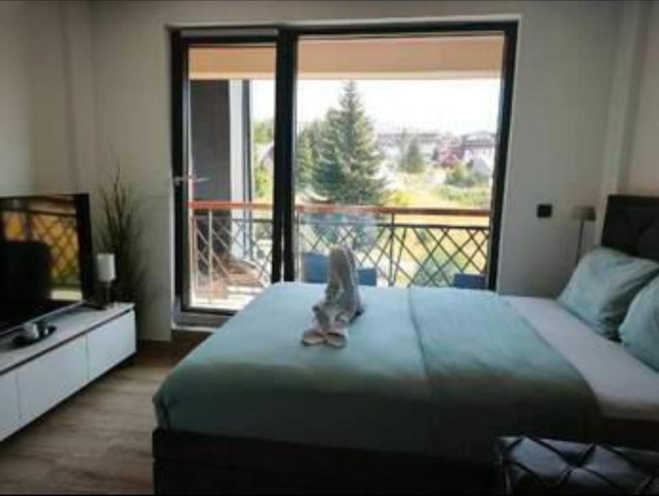 N&M apartmani Apartment in Serbia