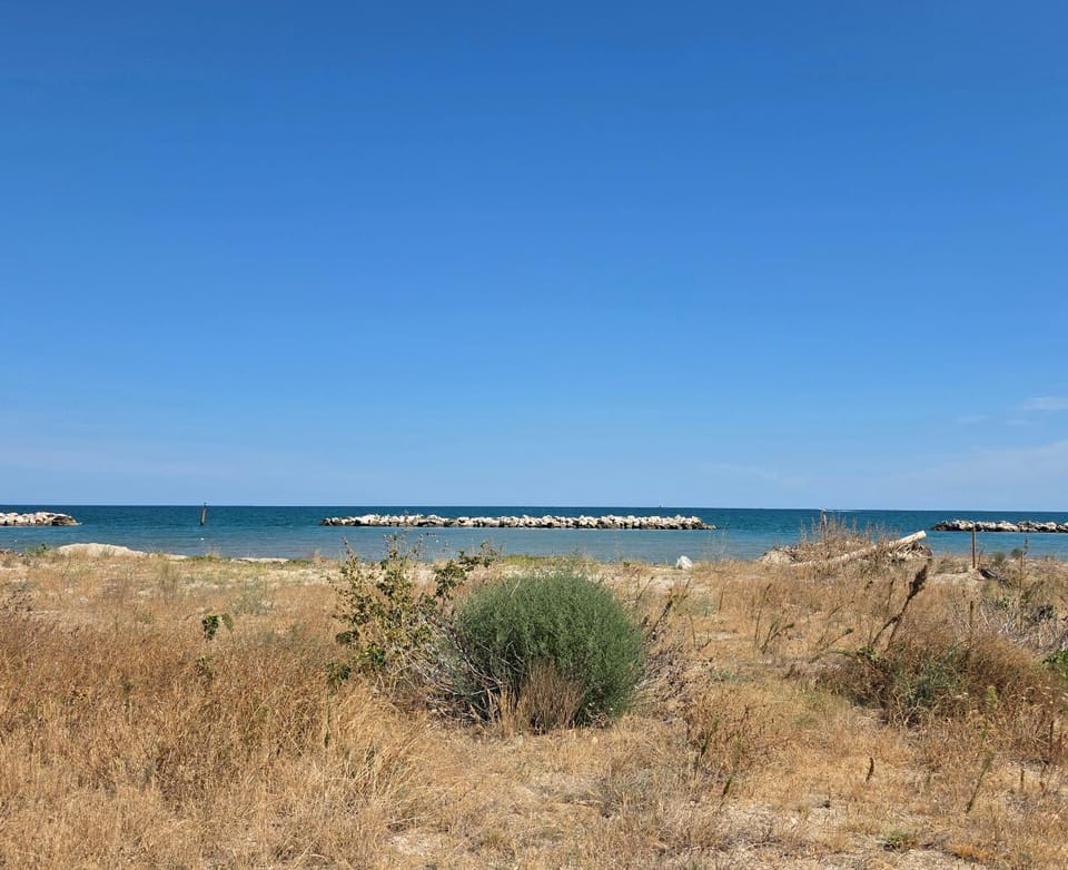 Natural landscape