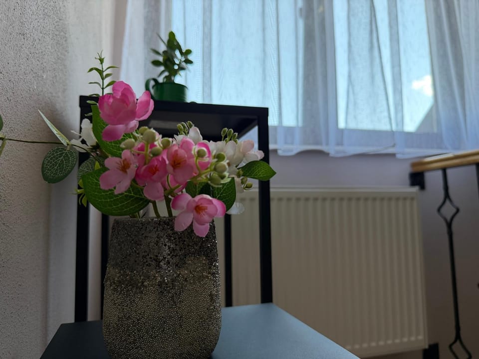Casa Mălinului Bed and Breakfast in Brasov